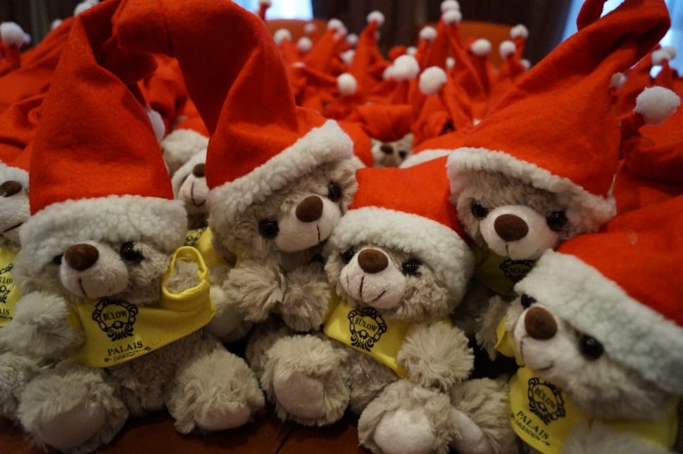 5 piece teddy bears wearing santa hat preview