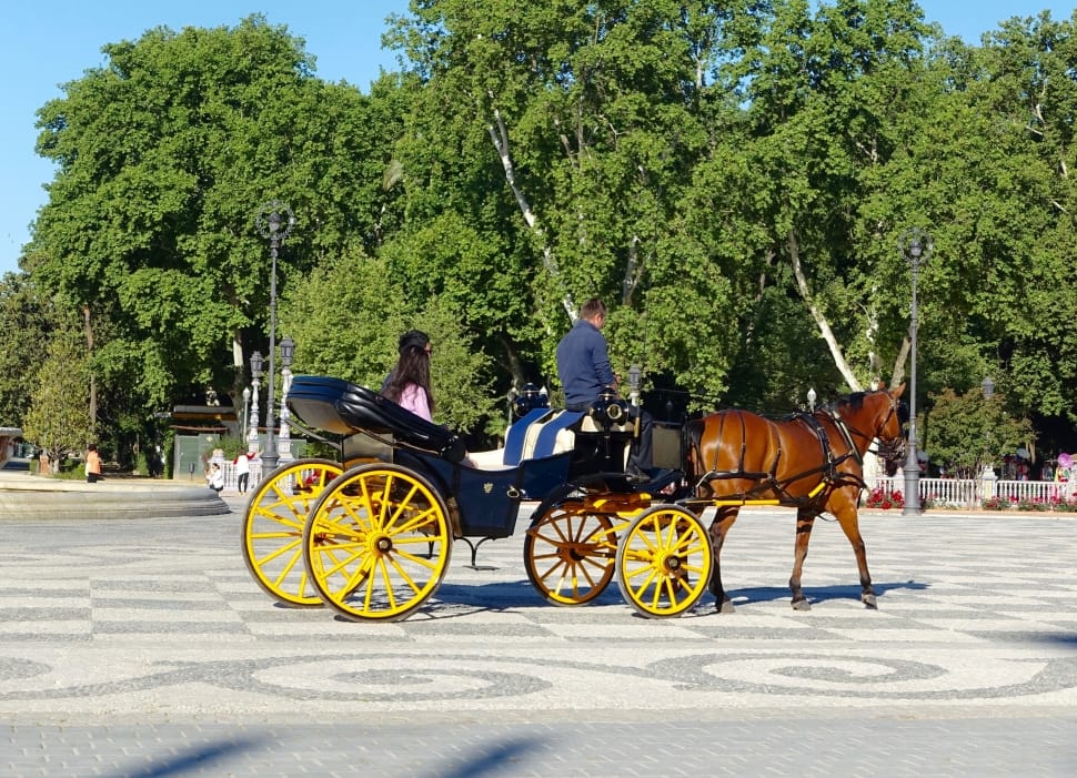 black wooden carriage with brown horse preview