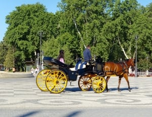 black wooden carriage with brown horse thumbnail