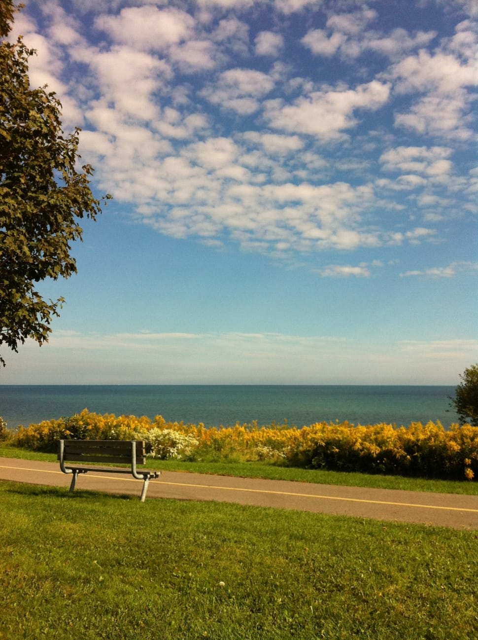 Outdoors, Lifestyle, Happiness, one animal, sea preview