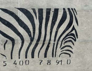 5 400 7891 0 stencil zebra art thumbnail