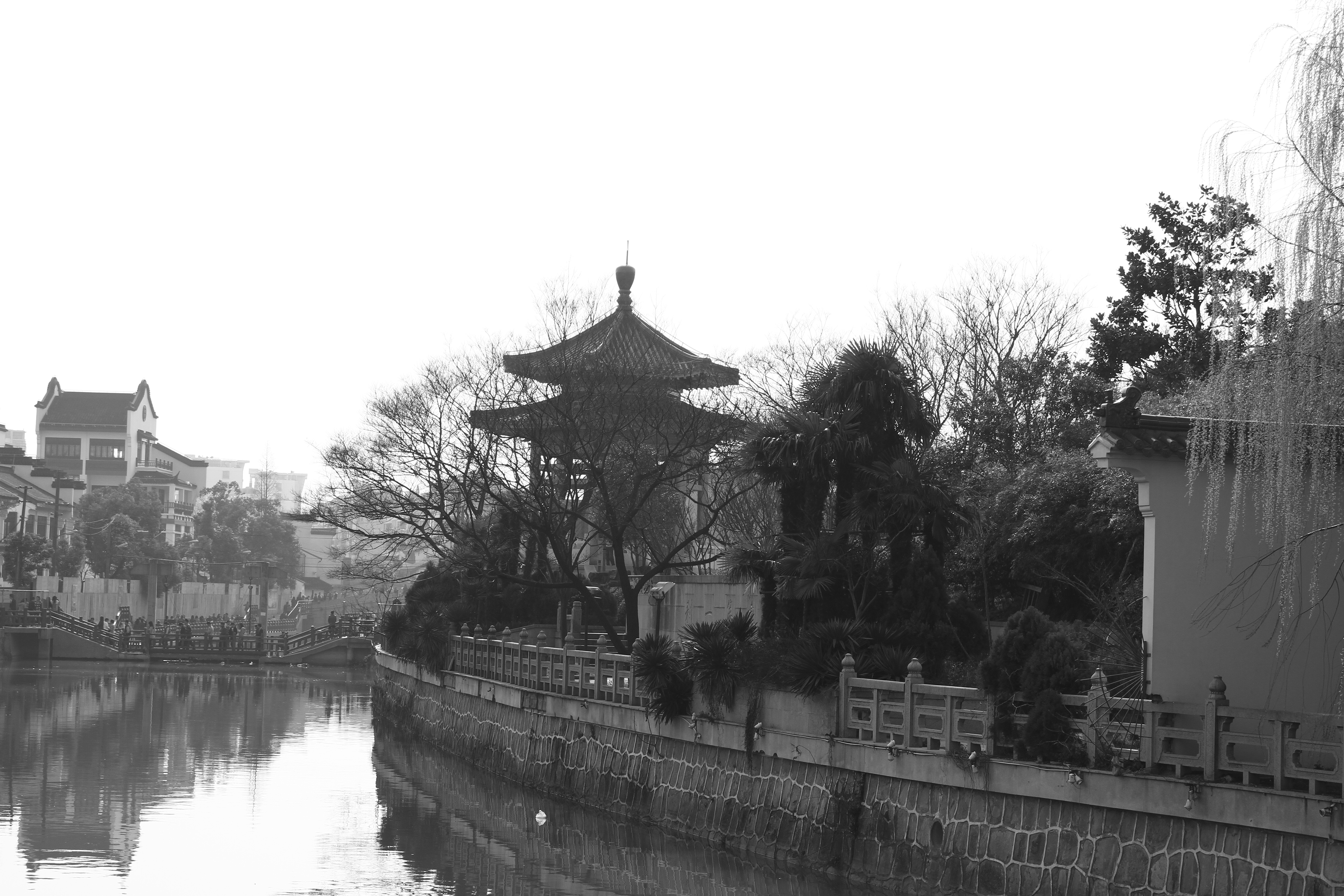 grayscale photo of pagoda beside body of water