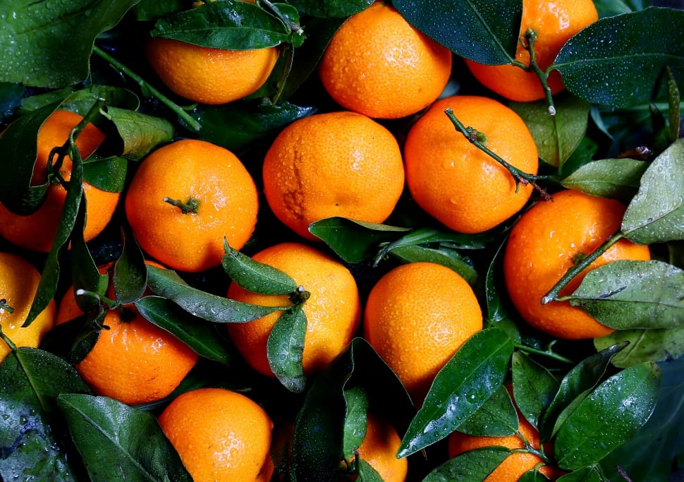 orange citrus fruit preview