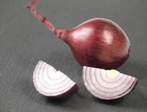 onion rings thumbnail