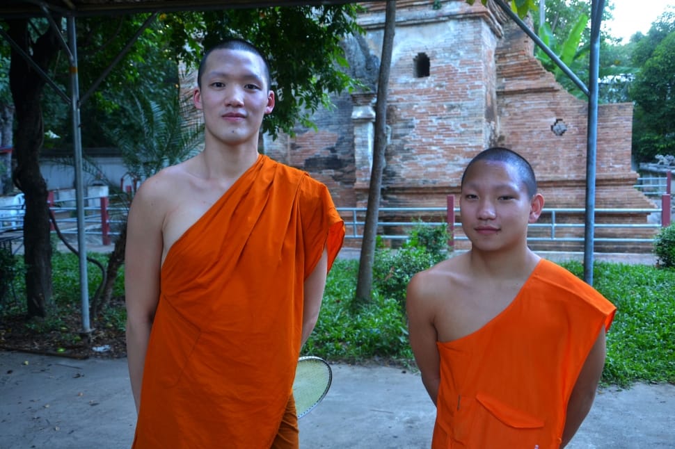 two monks in orange clothing preview