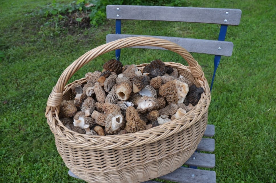 brown wicker basket with mushrooms preview