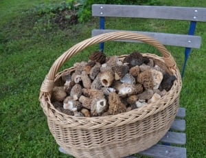 brown wicker basket with mushrooms thumbnail