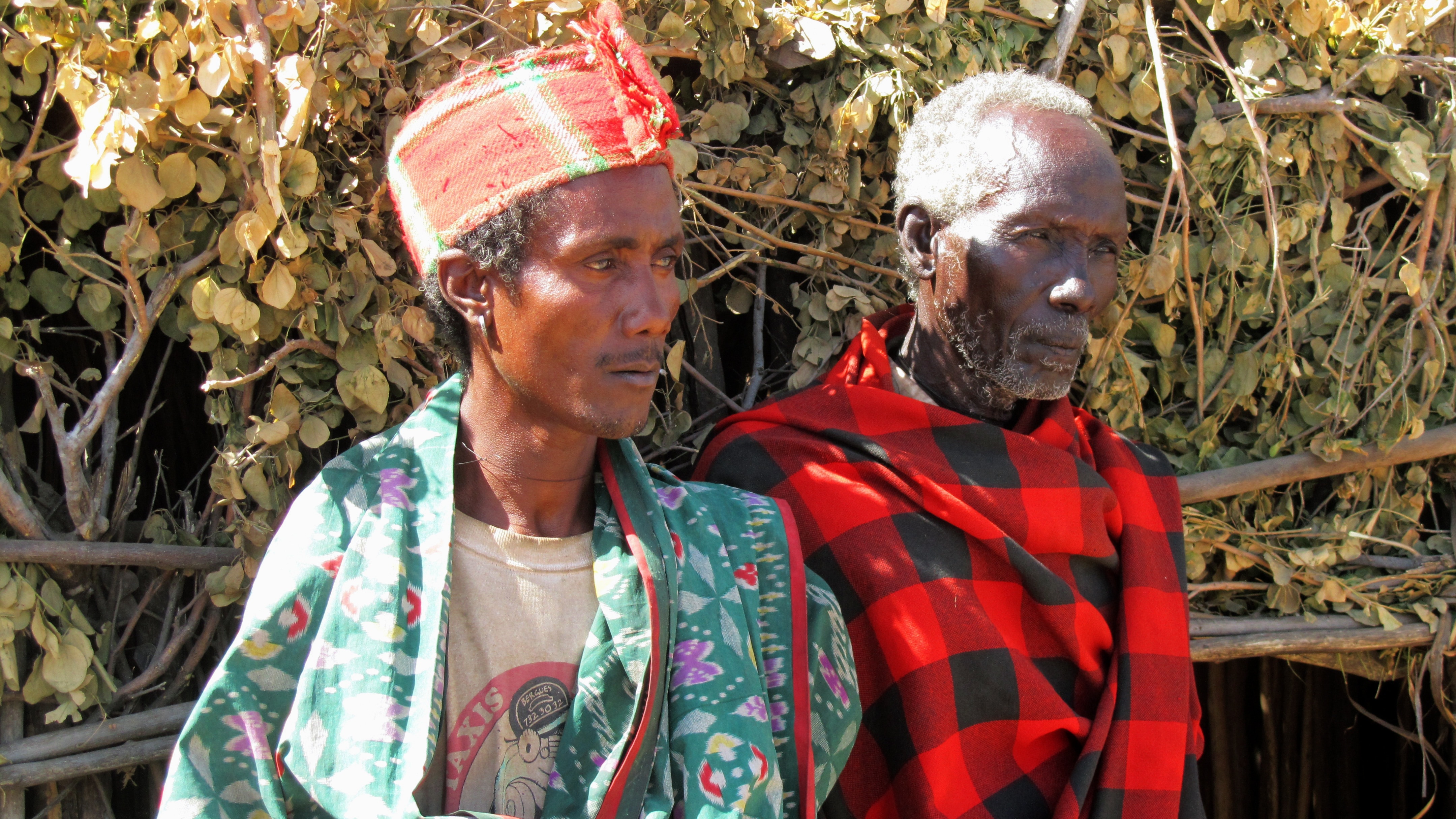 two man in dress behind tree tribe house