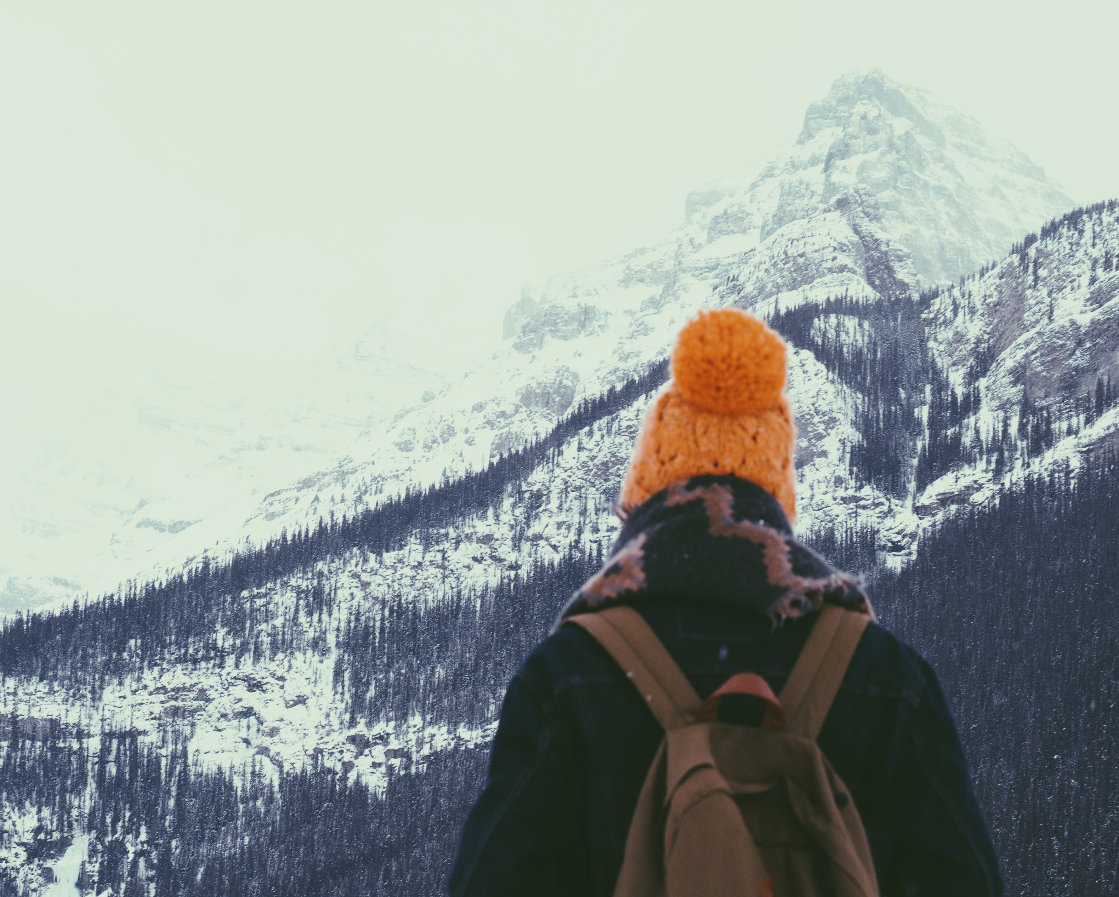 photo of person wearing orange knit hat facing through mountain filled with pine trees