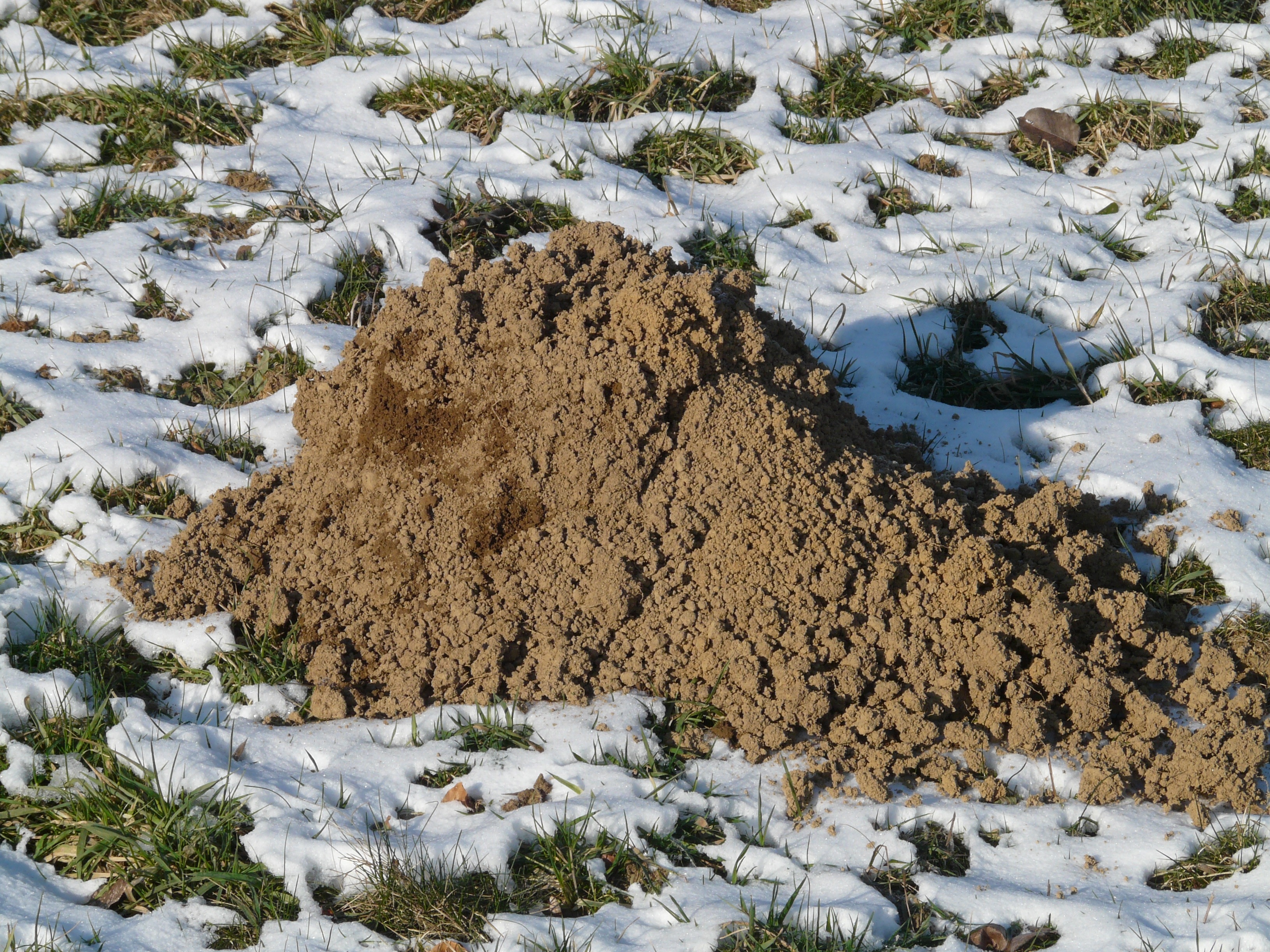 Зачем земле снег. Почва зимой. Кучка земли. Куча грунта. Земля песок.