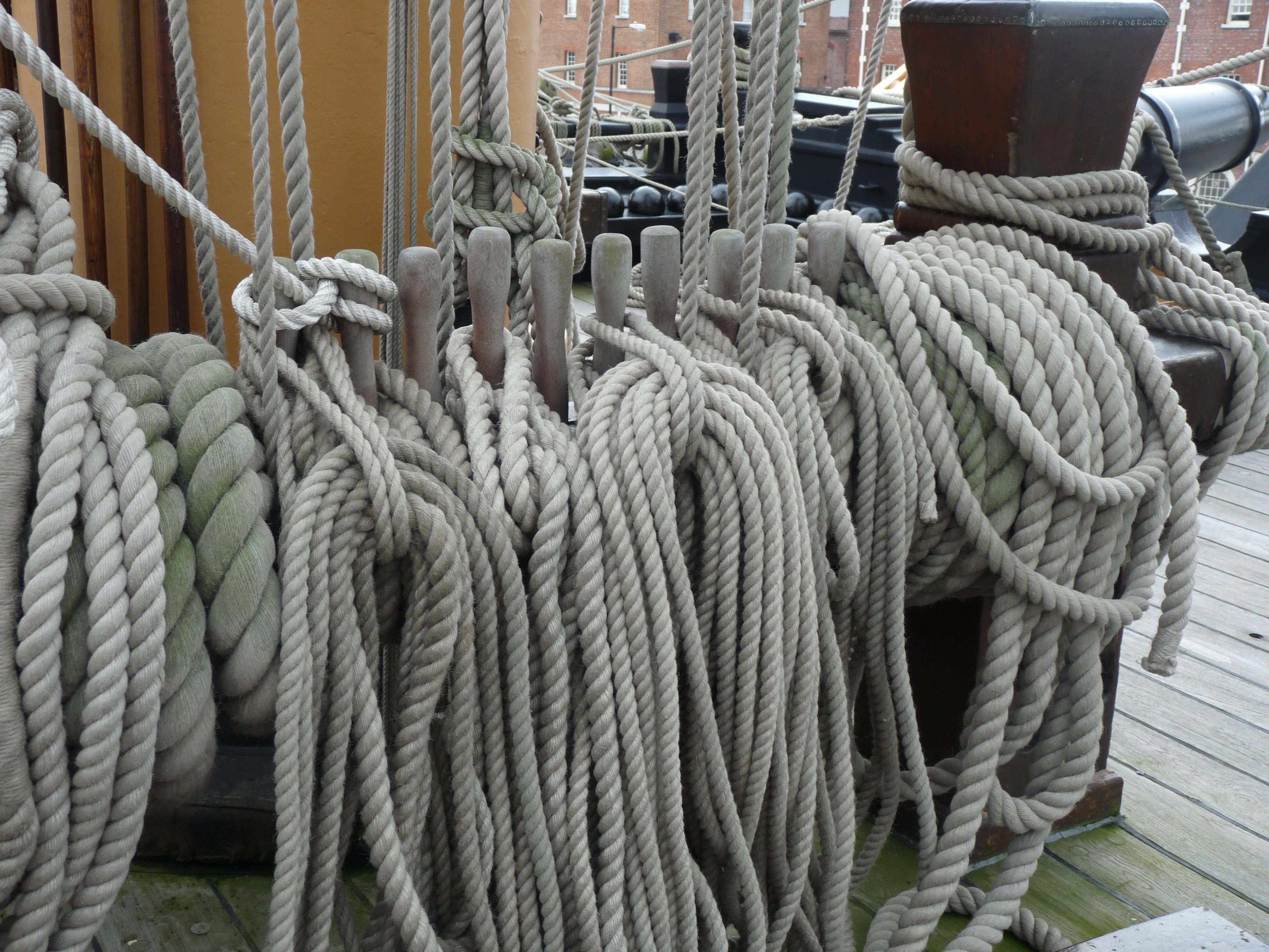 white ropes lot