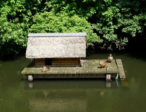 brown wooden house on body of water near trees thumbnail