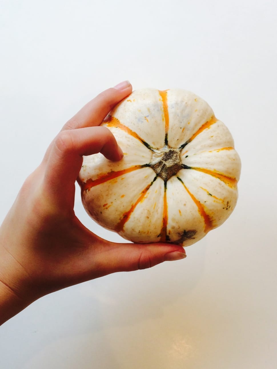white and yellow pumpkin preview