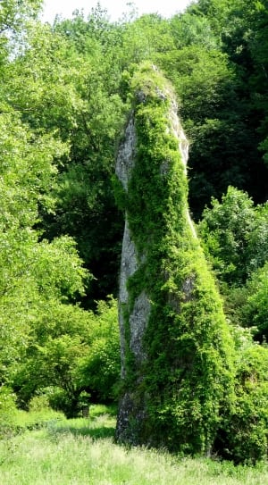 green and gray rock formation thumbnail