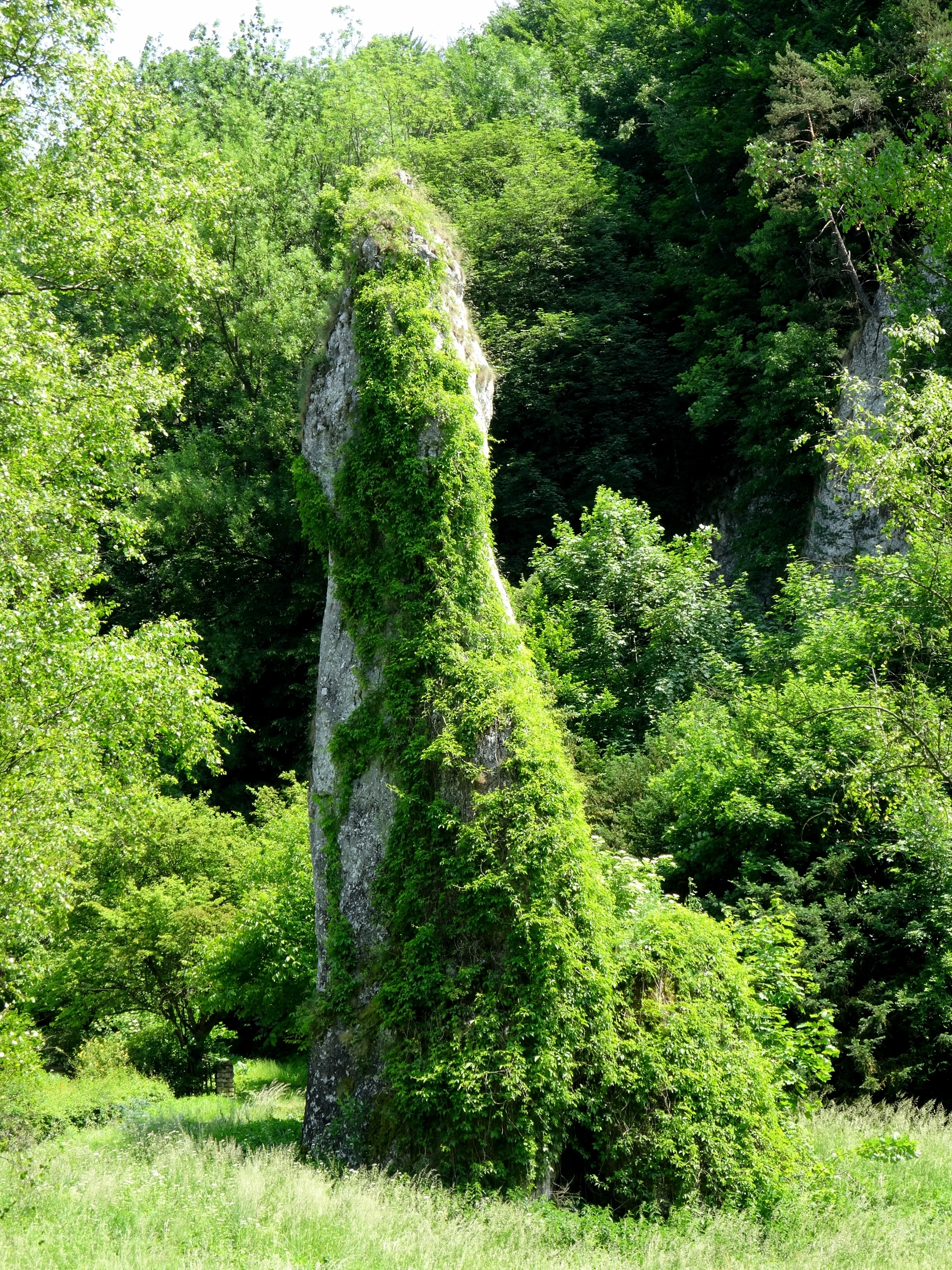 green and gray rock formation