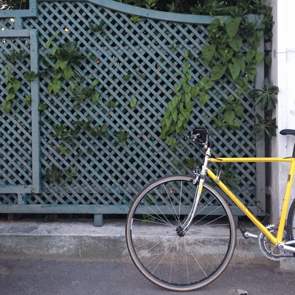 yellow and black flat bar road bicycle preview