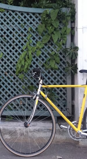 yellow and black flat bar road bicycle thumbnail