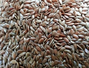 brown seeds thumbnail