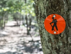 red round signage hanged on tree thumbnail