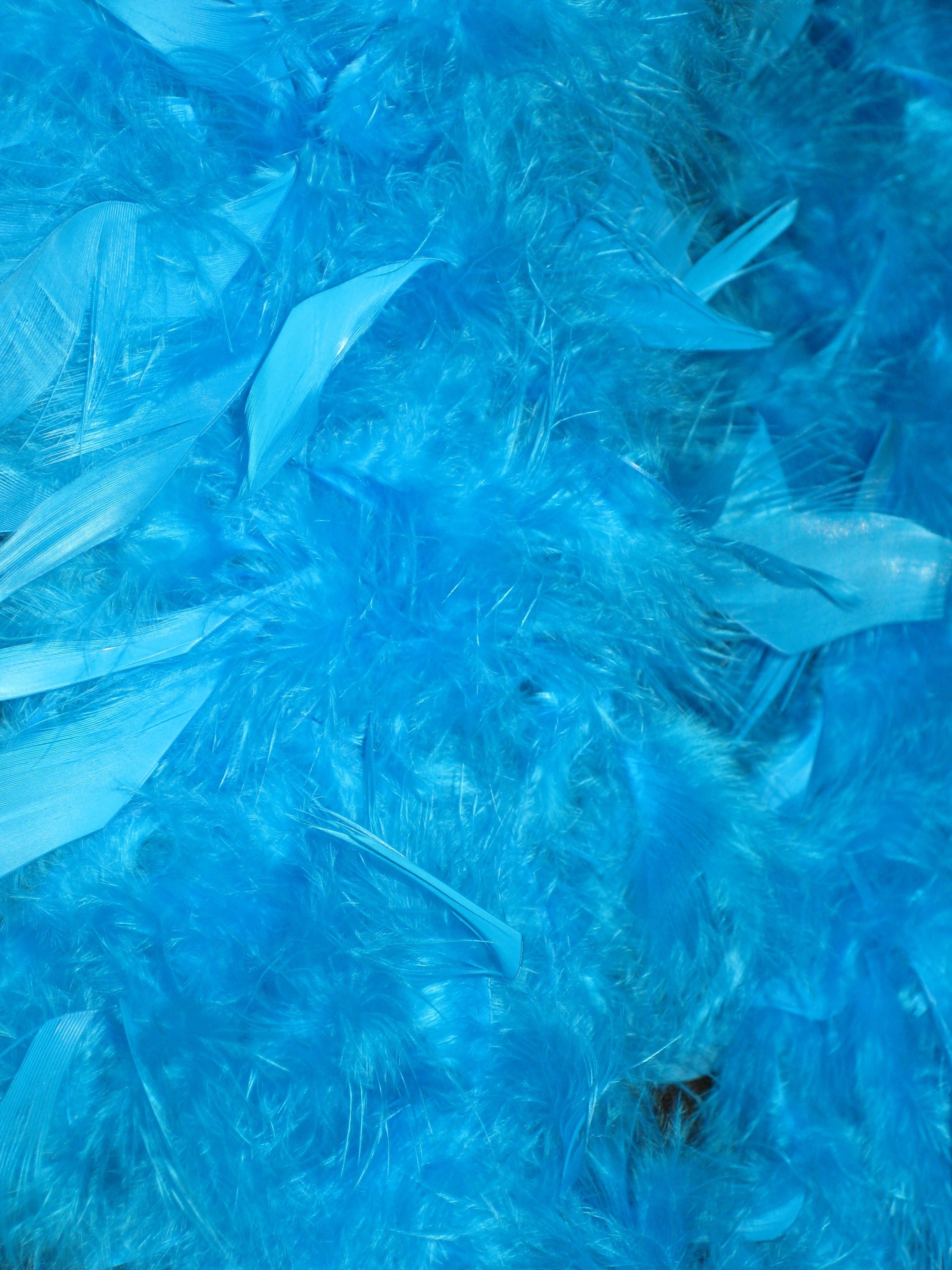 blue fur textile
