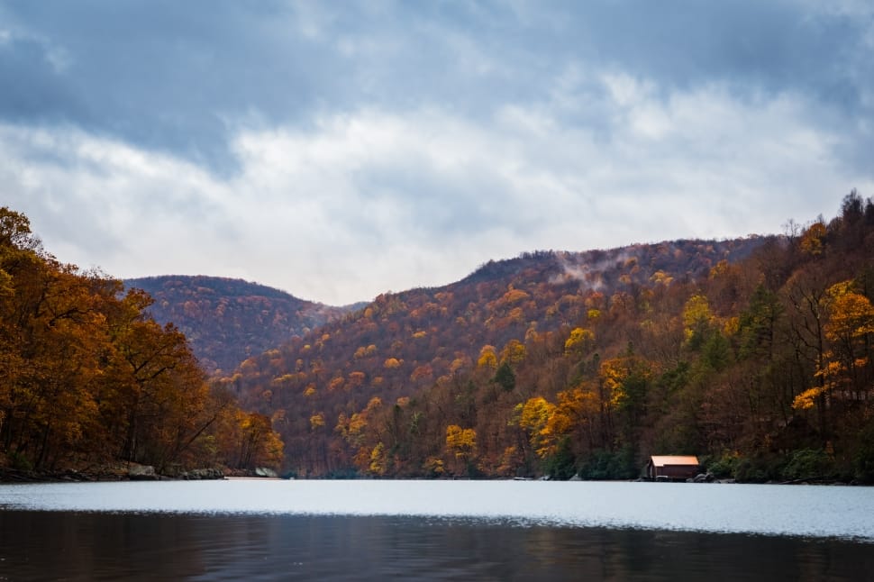 body of water near forest during autumn season under gray cloudy sky preview