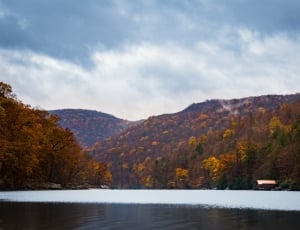 body of water near forest during autumn season under gray cloudy sky thumbnail