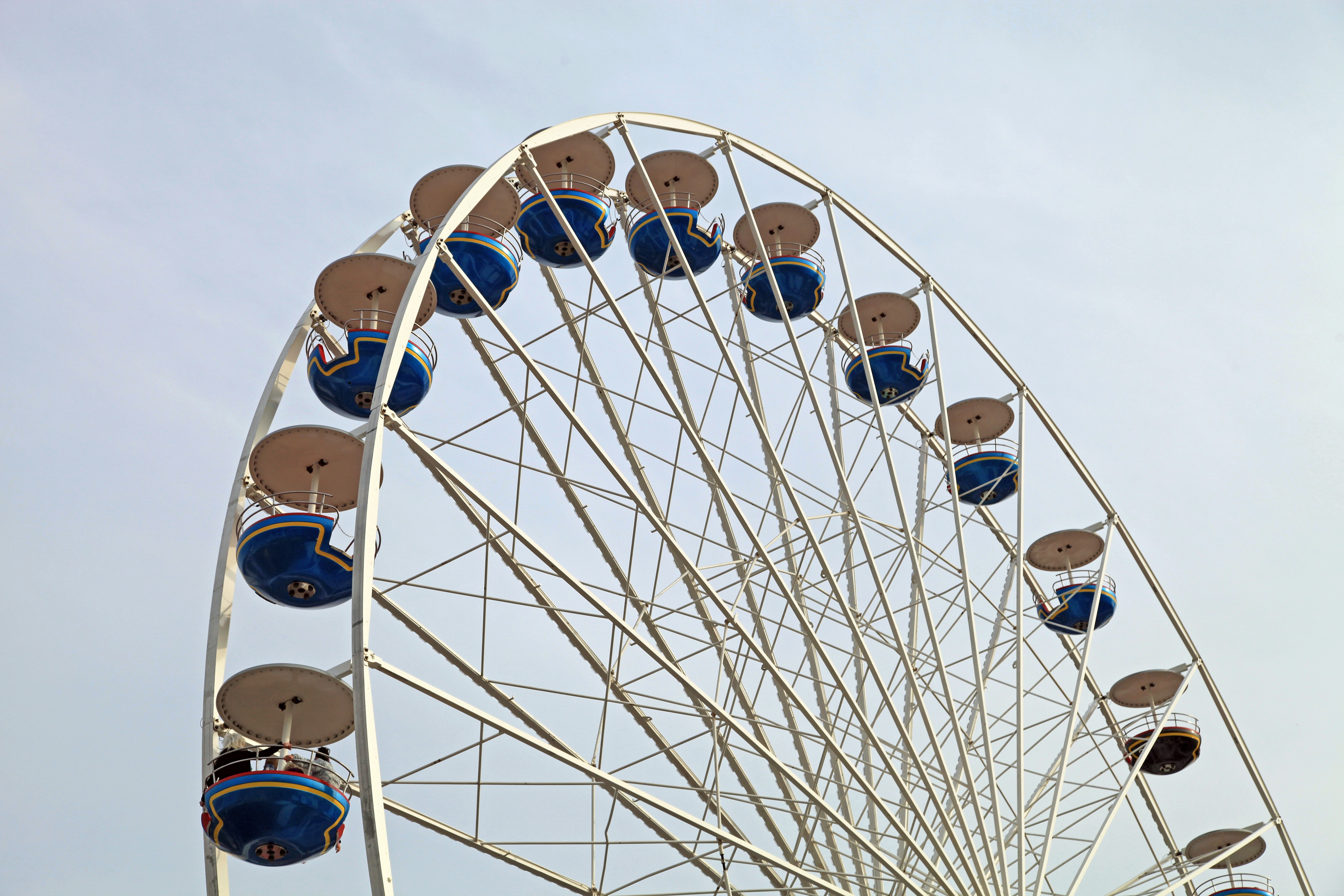 blue and white ferries wheel