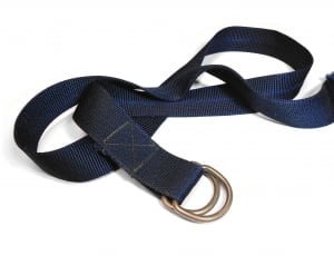 blue harness thumbnail
