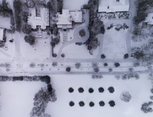 aerial view of houses thumbnail