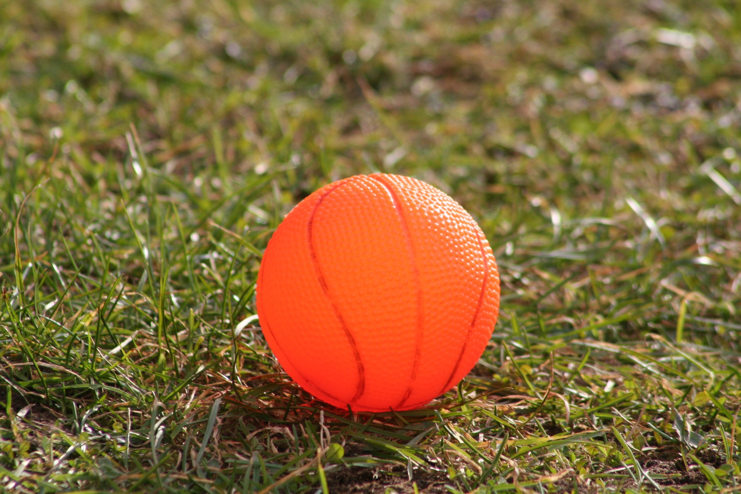brown plastic ball toy