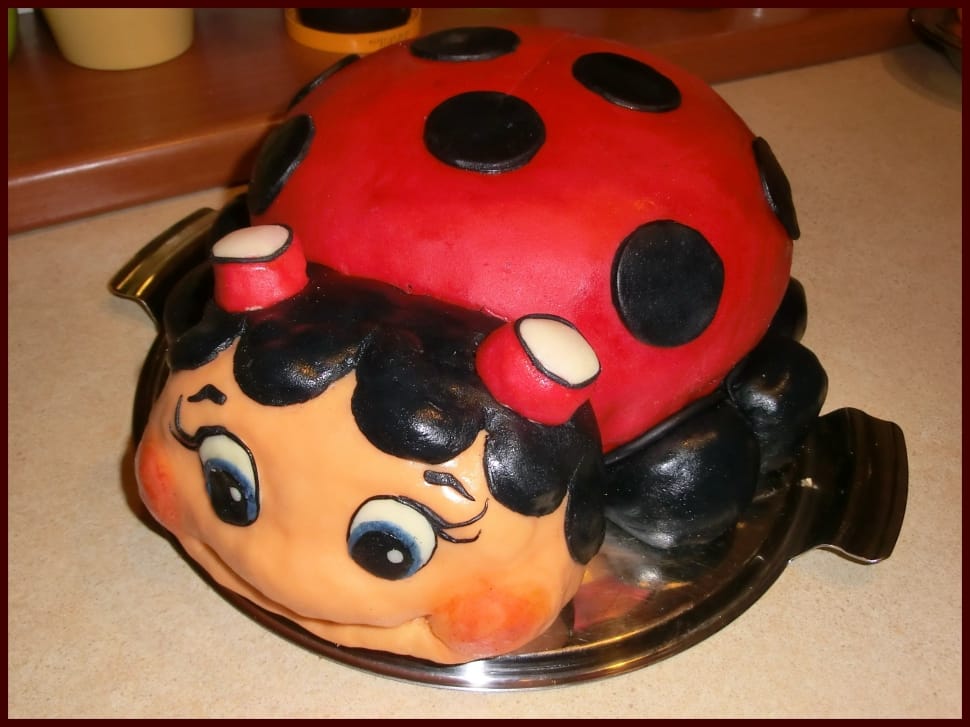 lady bug cake preview