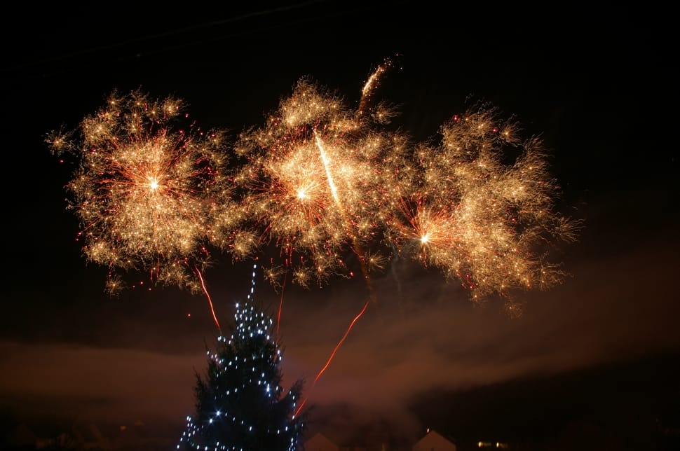 Fireworks, Night, Fir, Christmas, firework display, night preview