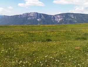 black rocky mountain and green fields thumbnail