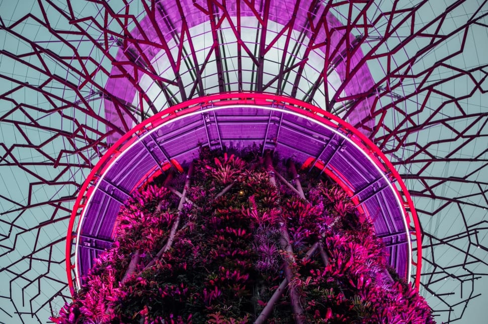 worm's eye view of tower filled with violet leaves preview