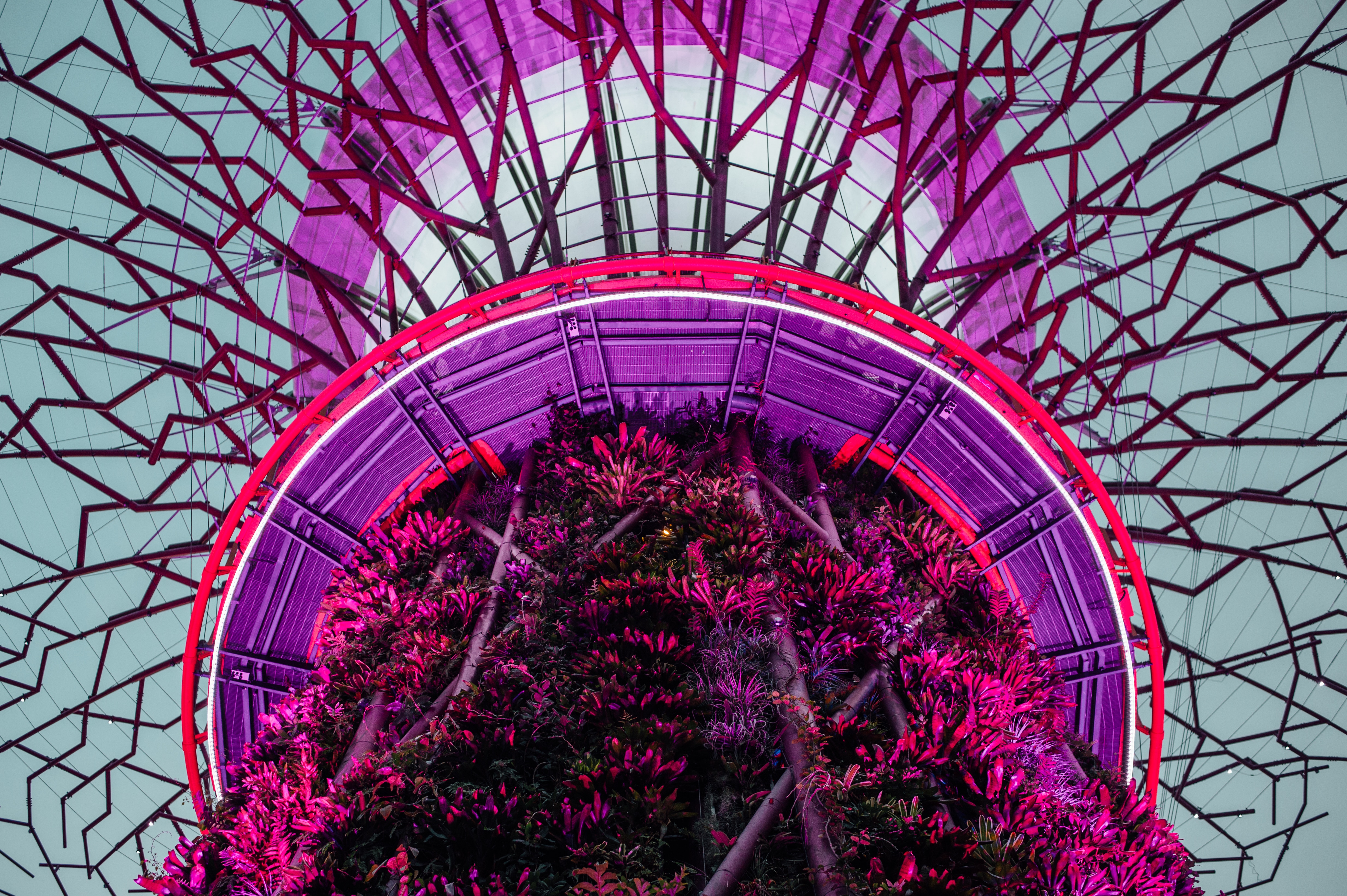 worm's eye view of tower filled with violet leaves