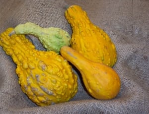 3 yellow fruits thumbnail