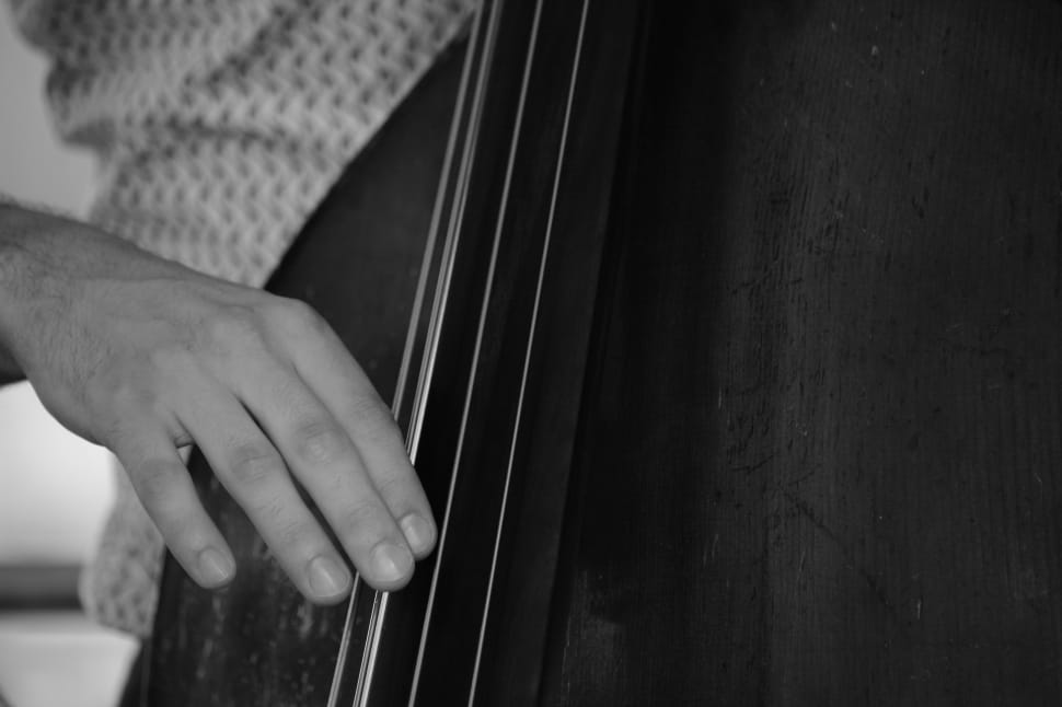 grayscale photo of person playing instrument preview