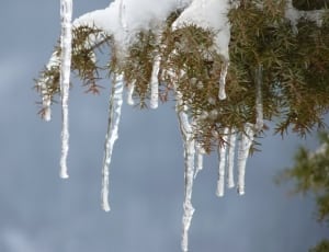 clear glass icicle thumbnail