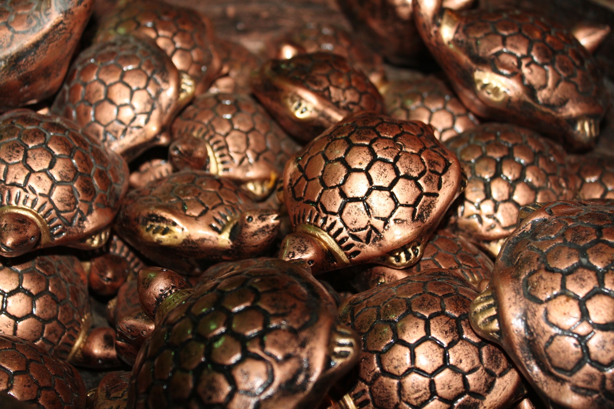 bronze turtles lot