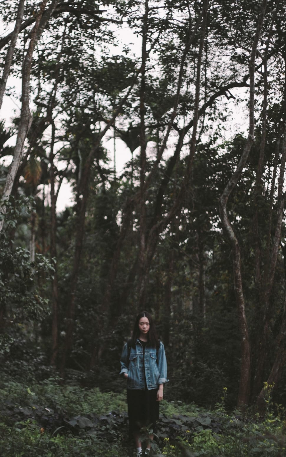 woman in blue denim long sleeve shirt standing outside surrounding trees at daytime preview