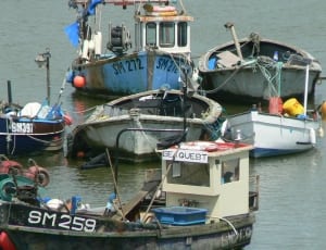 assorted boats on body of water during daytime thumbnail
