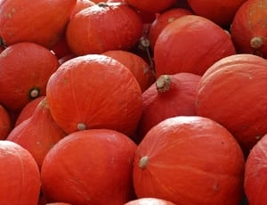 red round fruit lot thumbnail