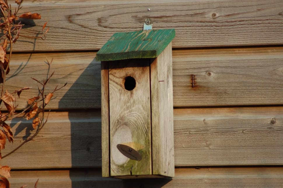 brown and green wooden bird house preview