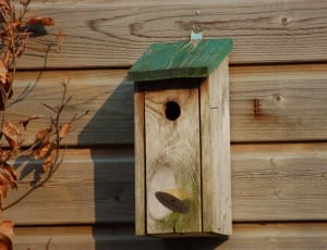 brown and green wooden bird house thumbnail