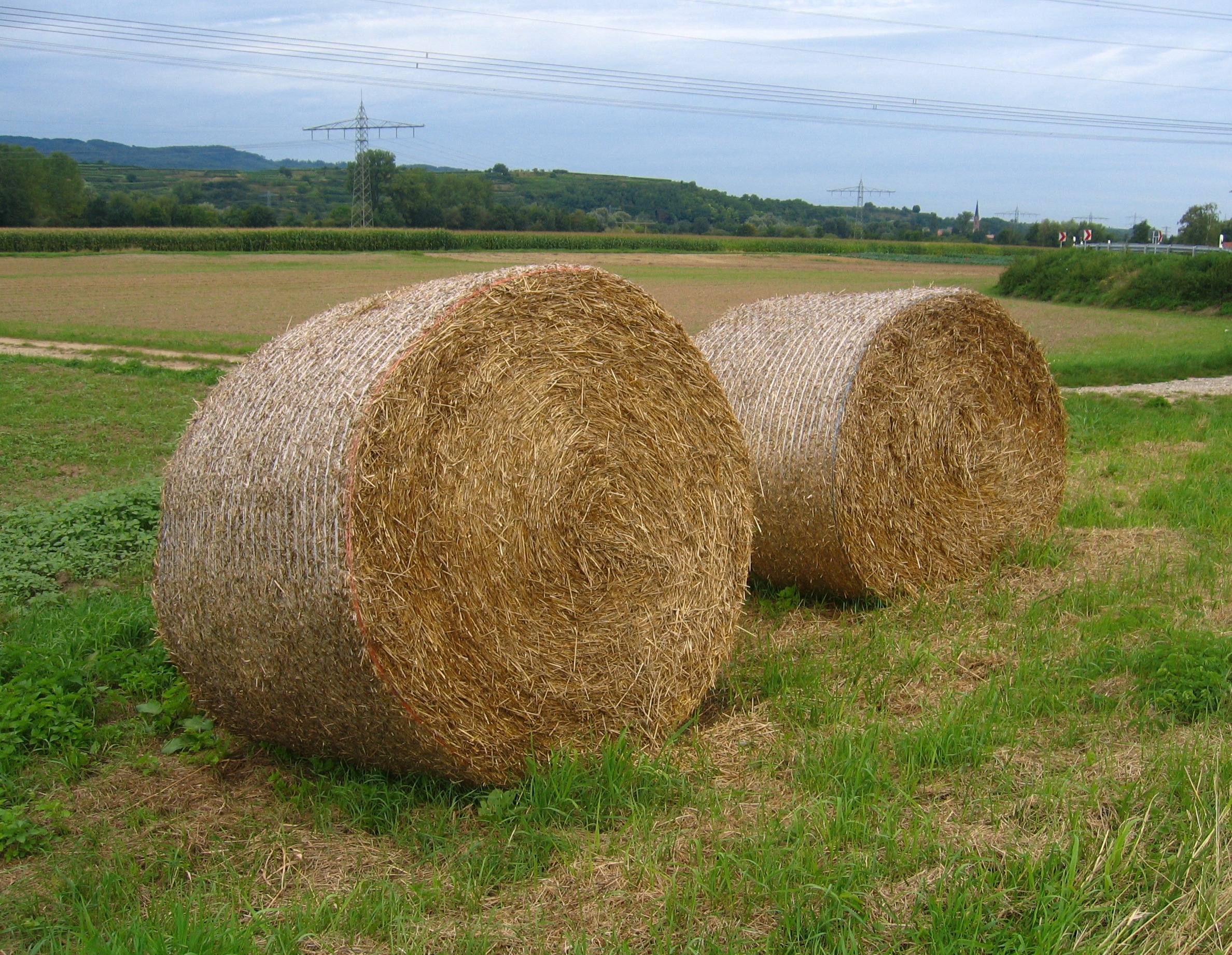 2 haystack rolls
