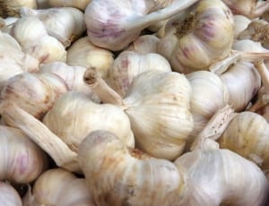 garlic lot thumbnail