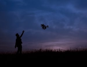silhouette of person throw a flower in mid air photography thumbnail