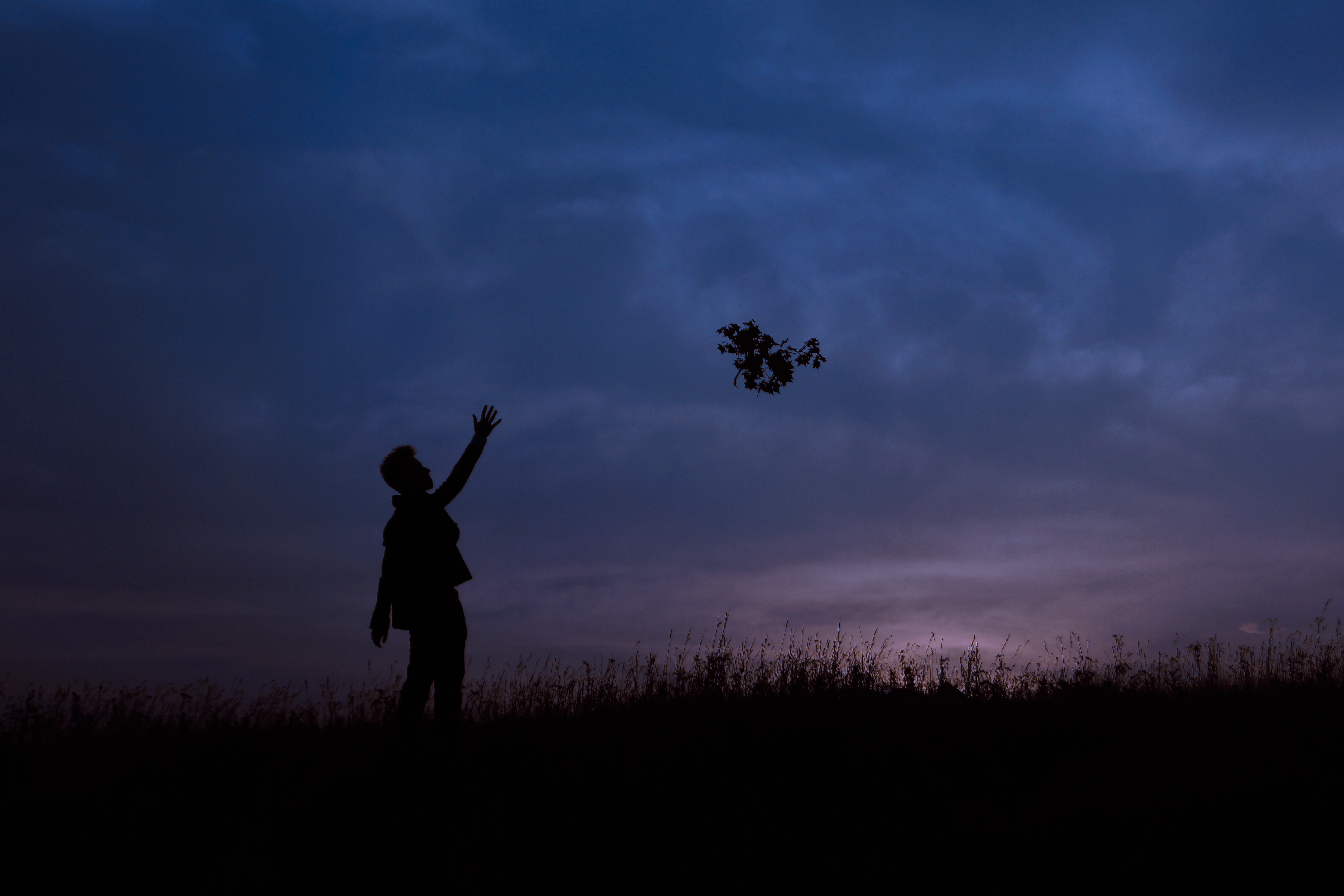silhouette of person throw a flower in mid air photography