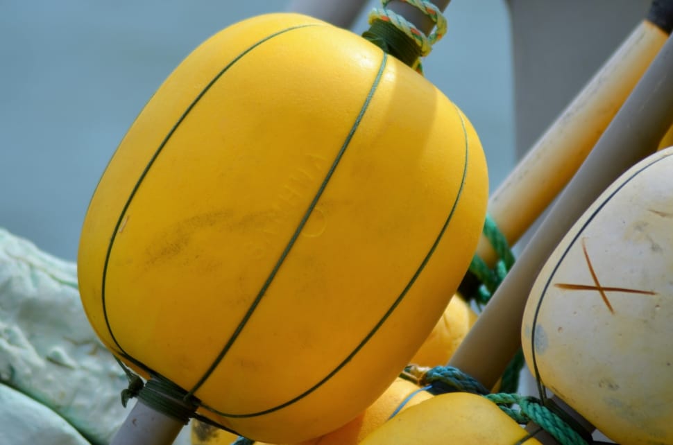 yellow buoy preview