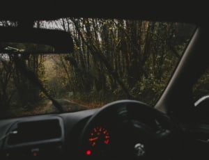 black car near wooden trees during daytime thumbnail